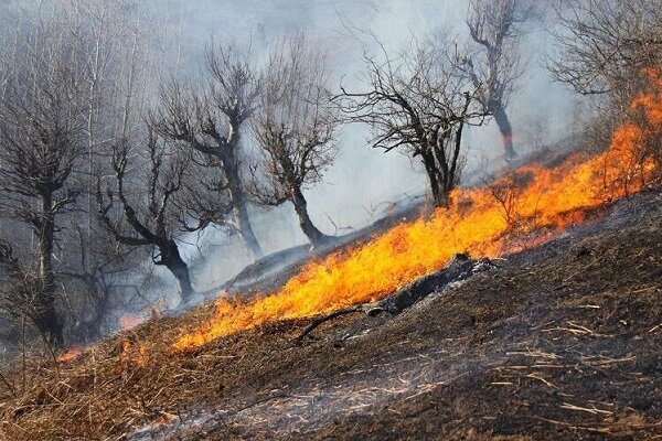 کاهش آتش سوزی مراتع با افزایش نظارت مردم در استان خراسان رضوی